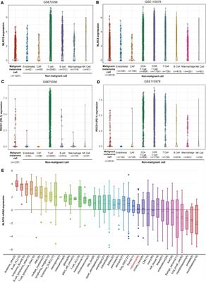 Clinical and Molecular Correlates of NLRC5 Expression in Patients With Melanoma